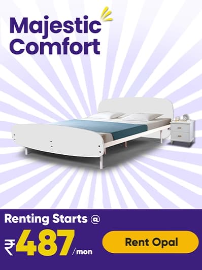 rent-opal-bed