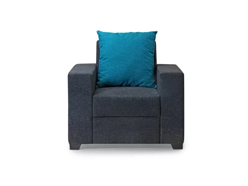 Hugo Upholstered Single Seater Sofa in Livid Color