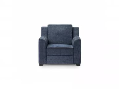 Erica Upholstered Single Seater Sofa in Livid Color