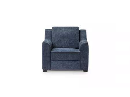 Erica Upholstered Single Seater Sofa in Livid Color