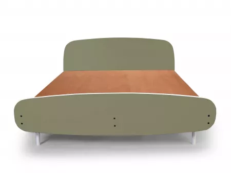 Olivix Queen Size Double Bed