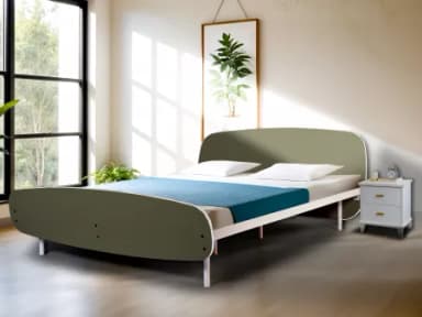 Olivix Queen Size Double Bed