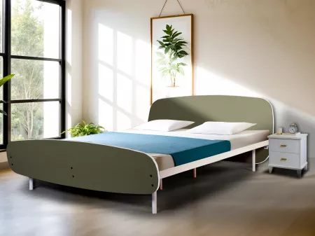 Olivix Queen Size Double Bed